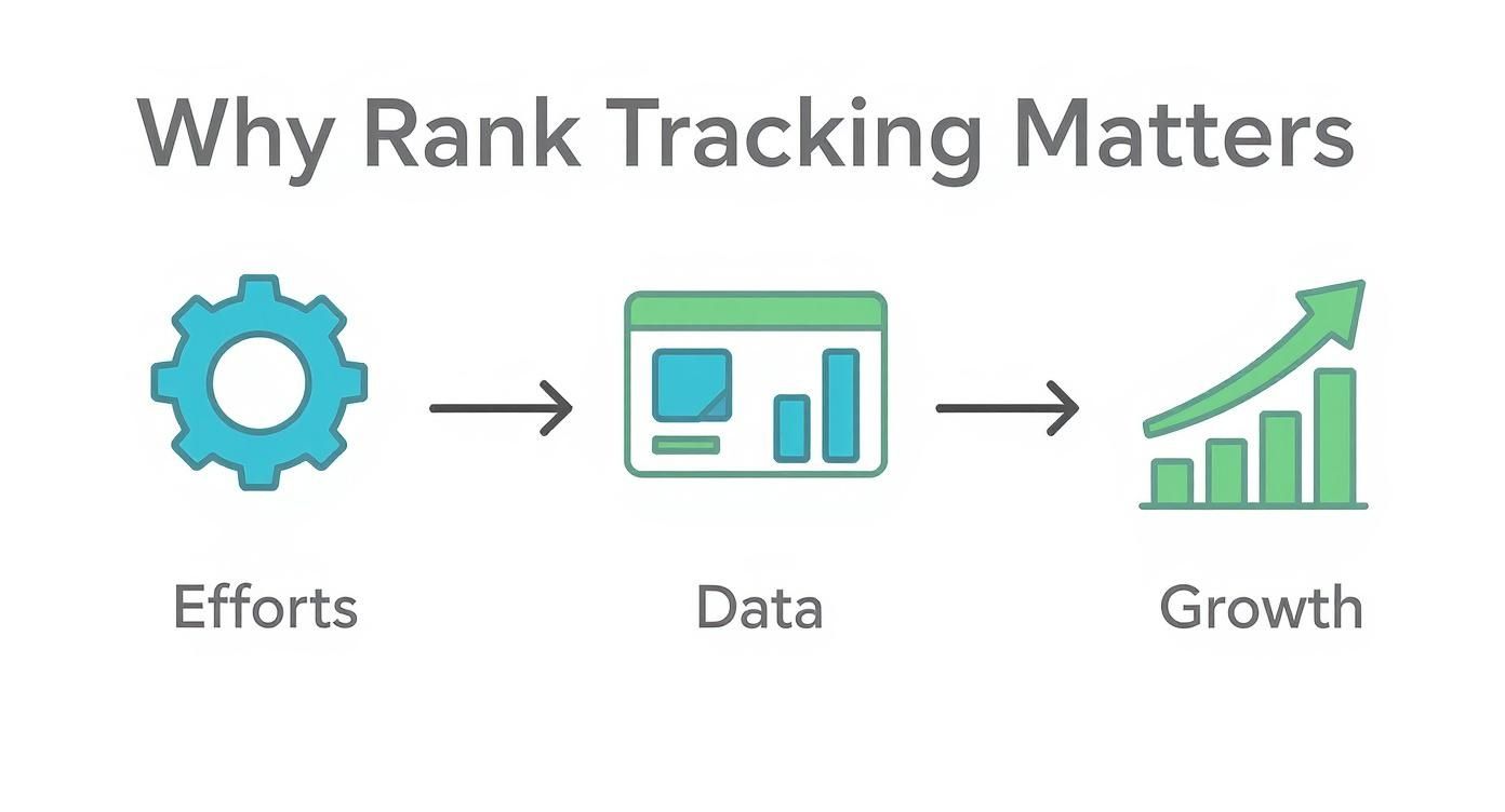 Infographic about how to check my website ranking