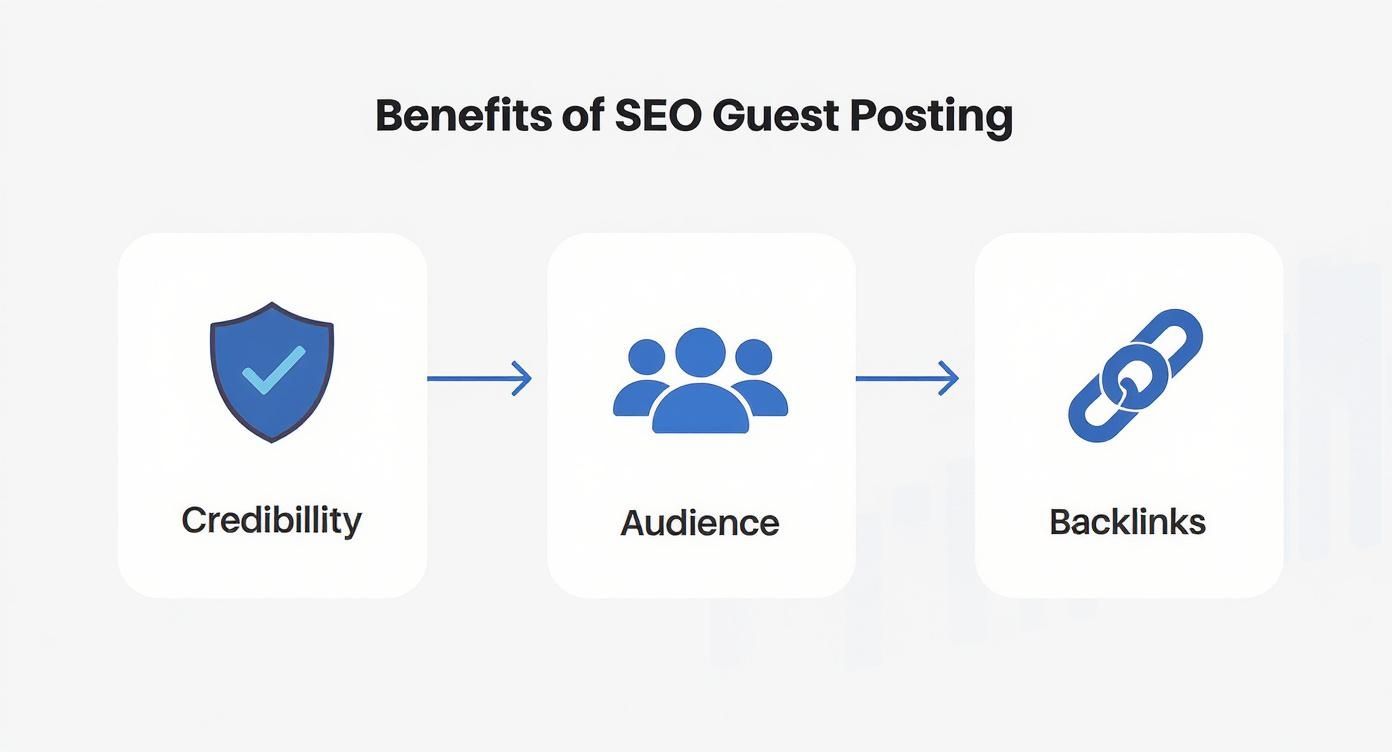 Infographic about seo guest post