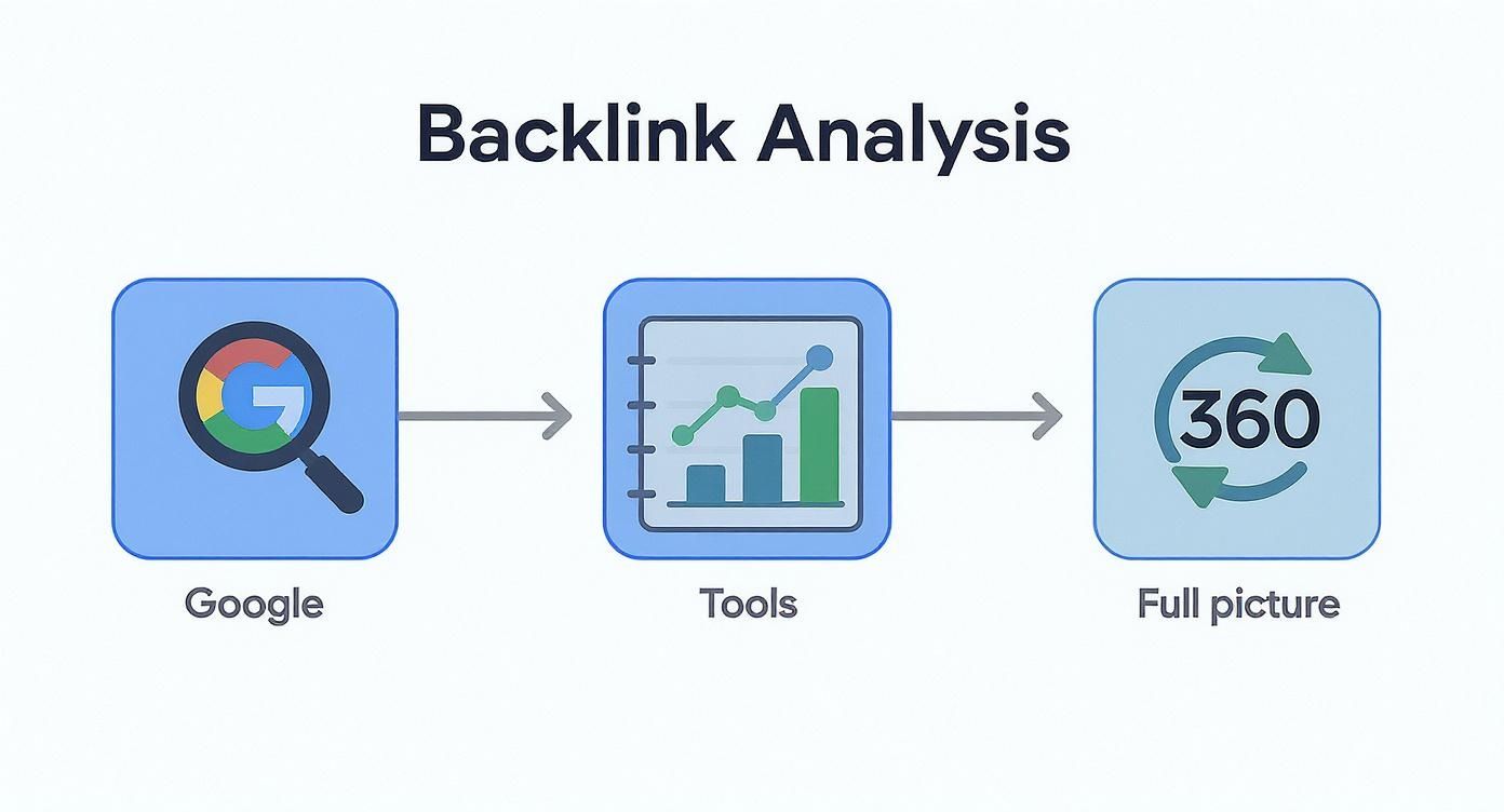 Infographic about how to find backlinks on google