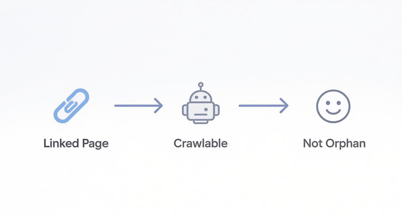 Infographic about orphan pages seo