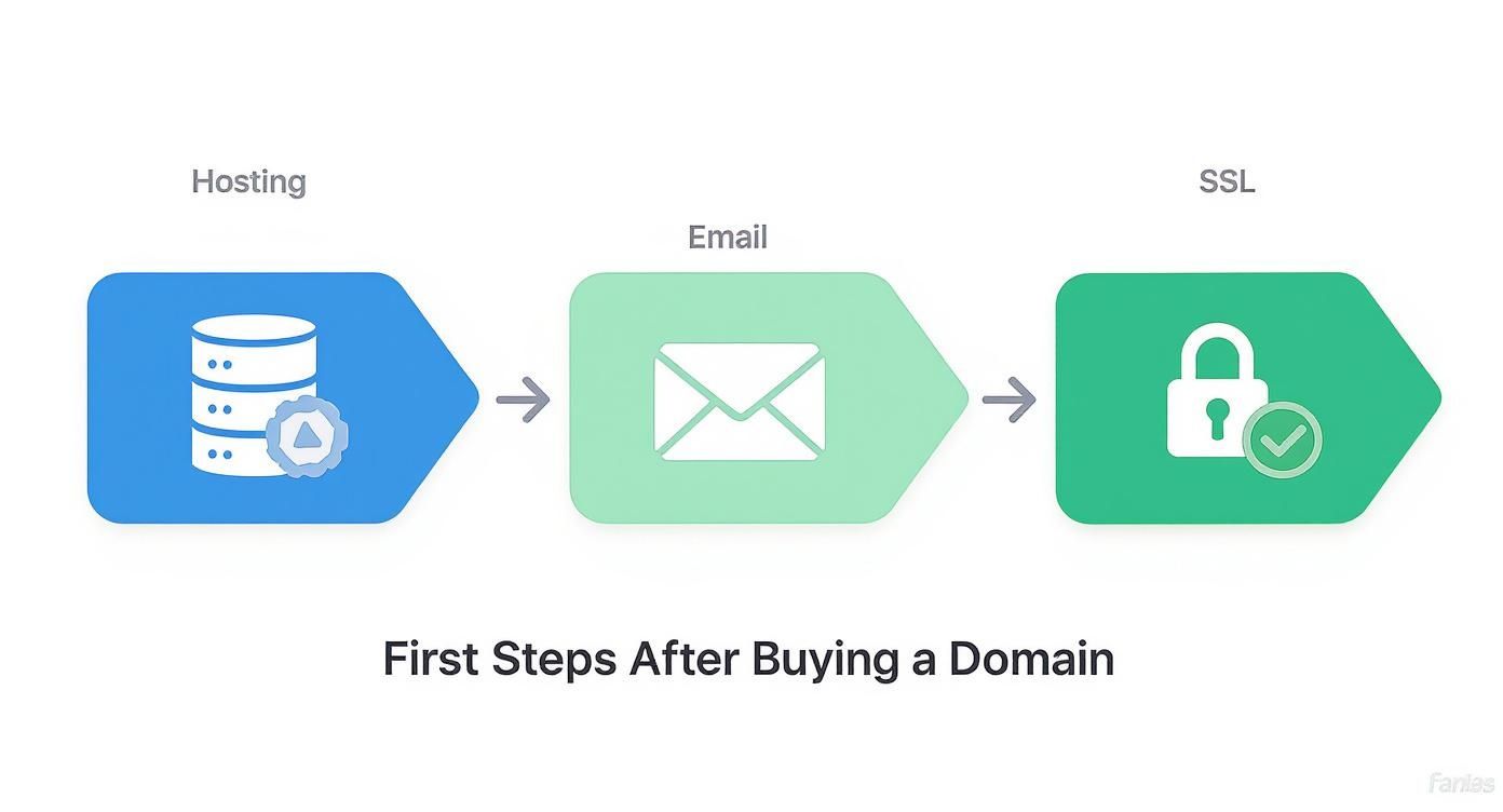 Three-step process diagram showing hosting setup, email configuration, and SSL certificate installation after domain purchase