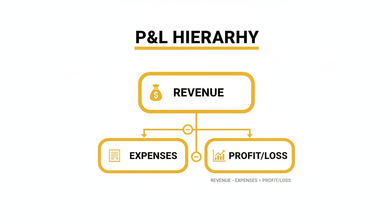 A Simple Guide to Understanding Profit and Loss Statements