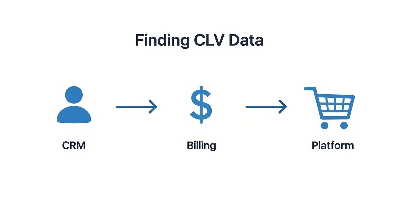How to Measure Customer Lifetime Value for Growth