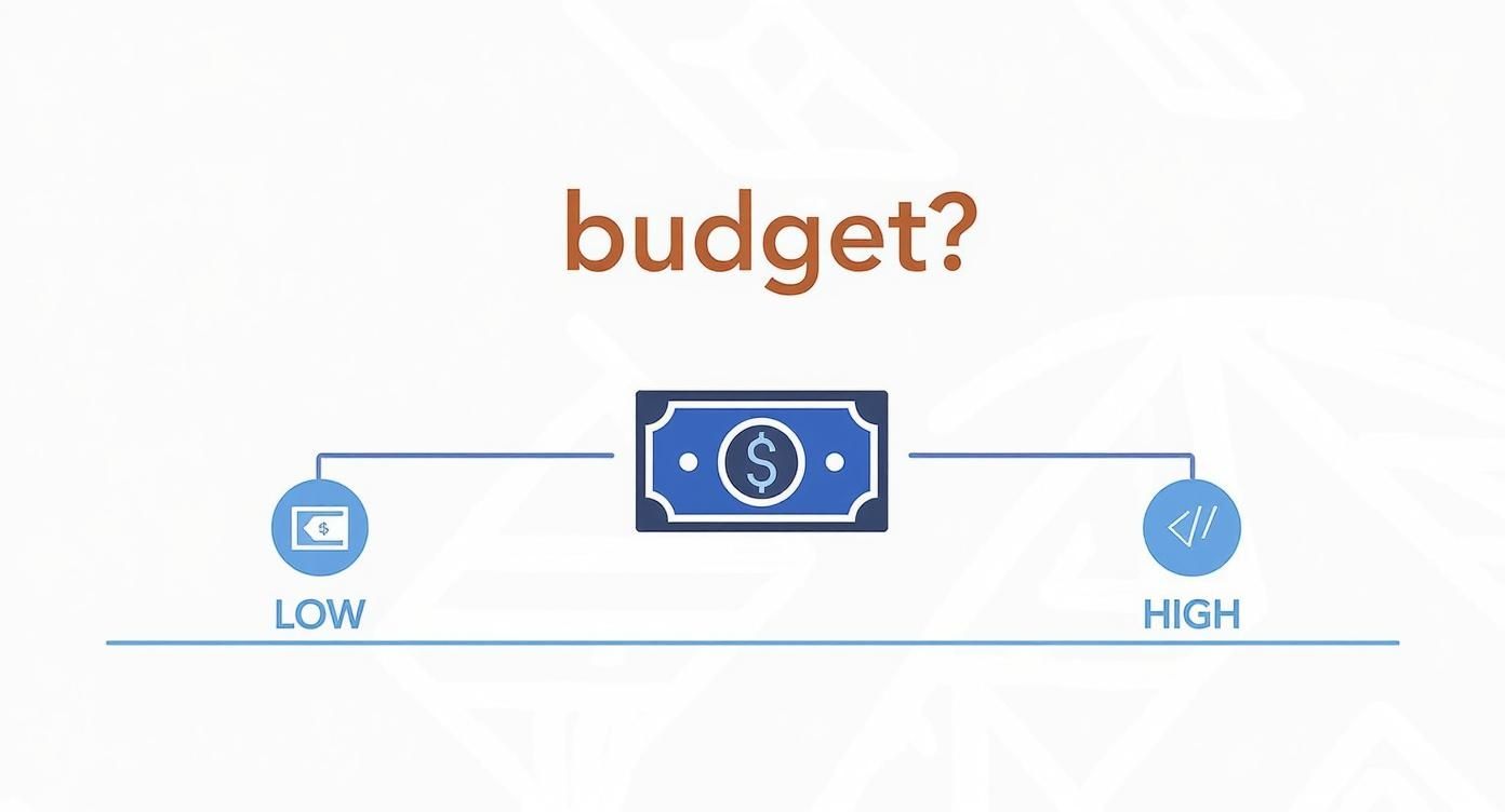 עץ החלטה המסייע בבחירת פלטפורמה לבניית אתרים על בסיס תקציב, עם אייקונים של שטר כסף, תבנית וקוד.