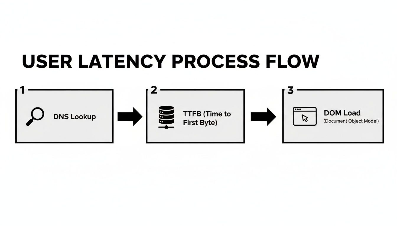 Flow chart illustrating the user latency process, detailing DNS lookup, TTFB, and DOM load steps.