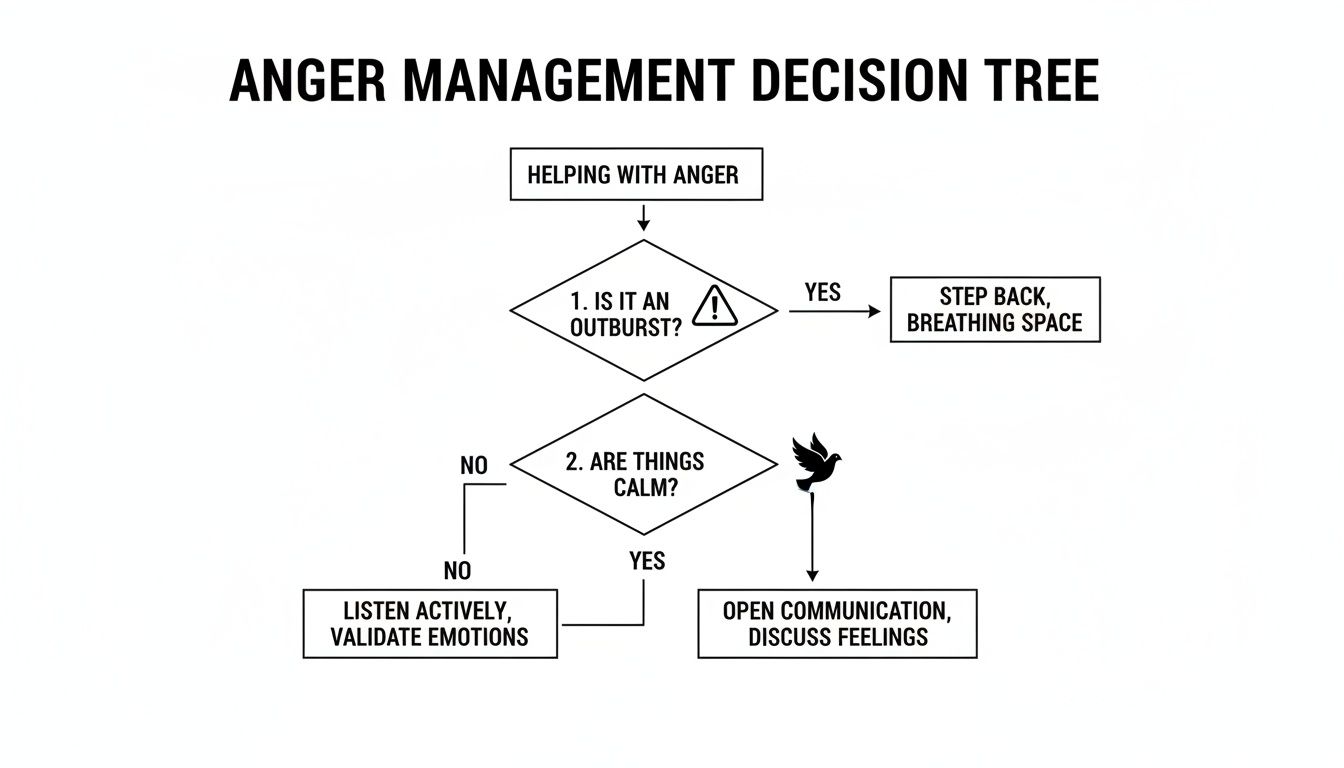 Flowchart showing an anger management decision tree, guiding actions for helping someone with anger.