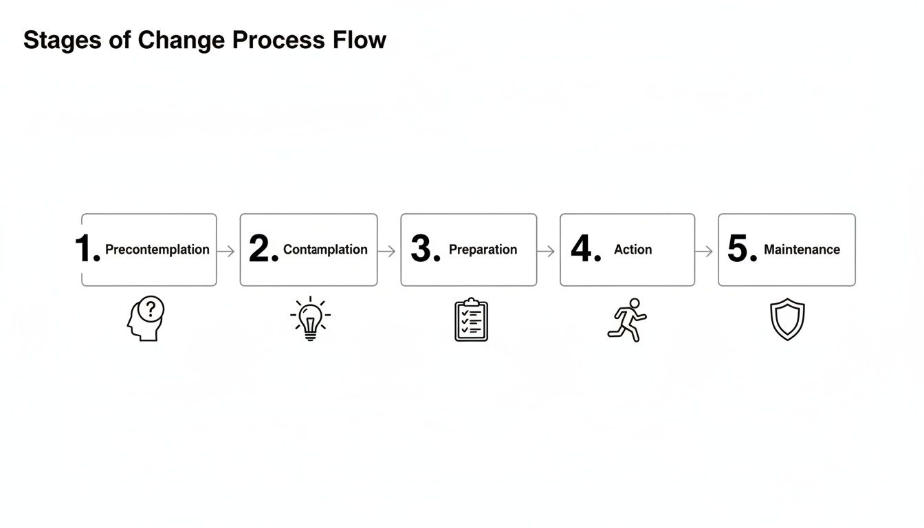 A horizontal flow diagram illustrating the 5 stages of change process: Precontemplation, Contemplation, Preparation, Action, and Maintenance, each with an icon.