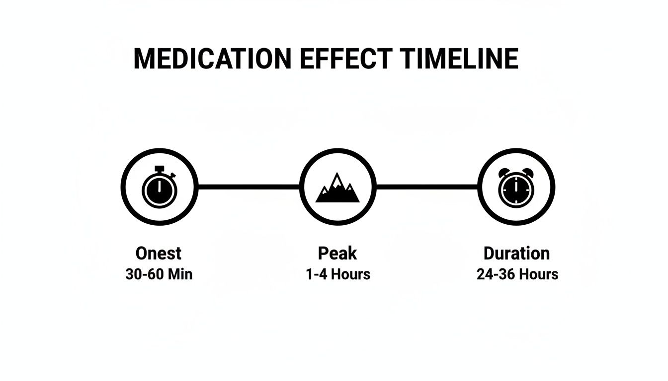Timeline illustrating medication effect phases: onset (30-60 min), peak (1-4 hours), and duration (24-36 hours).