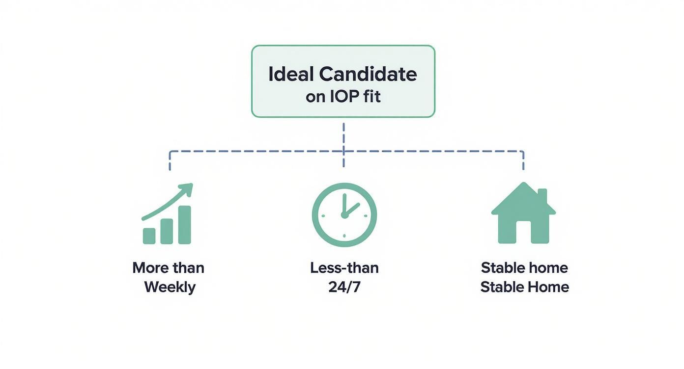 Infographic about what is iop therapy
