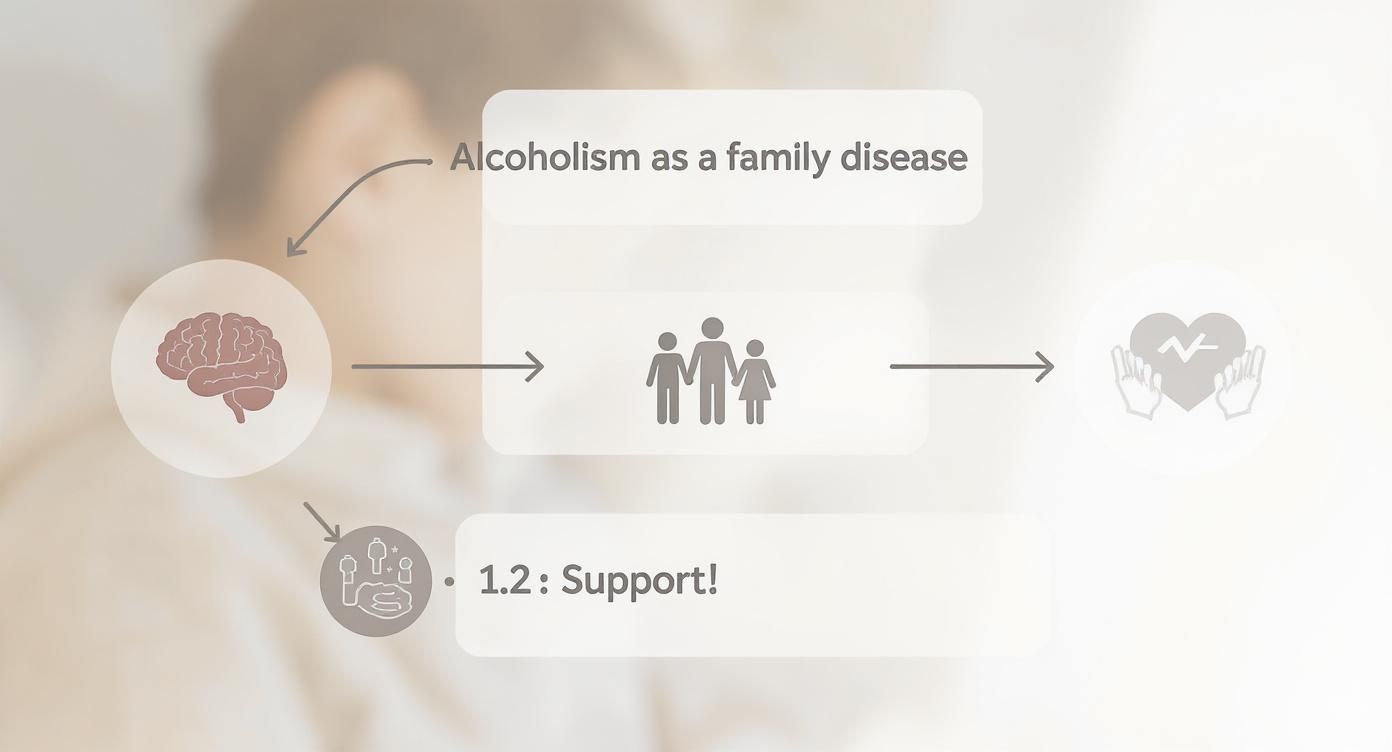 Infographic showing how alcoholism is a family disease, starting with the brain, impacting the family, and requiring support.
