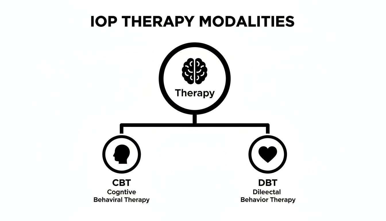 Diagram illustrating IOP therapy modalities: Therapy, CBT (Cognitive Behavioral Therapy), and DBT (Dileectal Behavior Therapy).