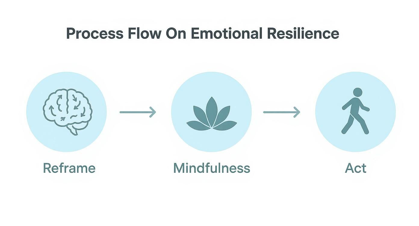 Three-step emotional resilience process flow showing reframe, mindfulness, and act stages with brain, lotus, and walking icons