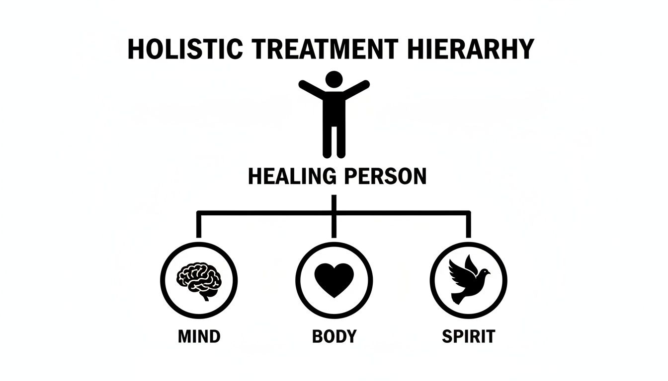 Holistic treatment hierarchy diagram illustrating a healing person connecting to mind, body, and spirit.