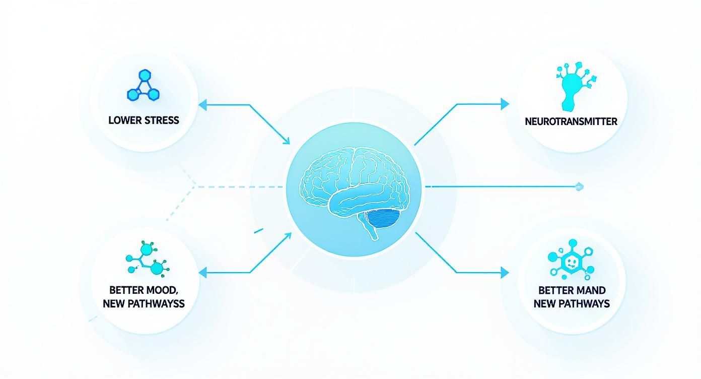 A diagram illustrates a central brain connected to lower stress, neurotransmitters, better mood, and new pathways.