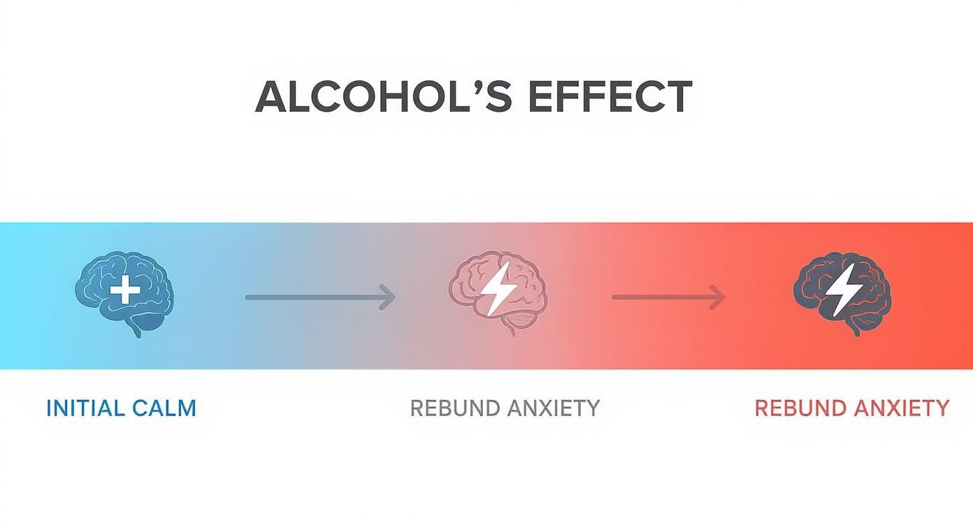 Infographic about can alcohol cause anxiety attacks