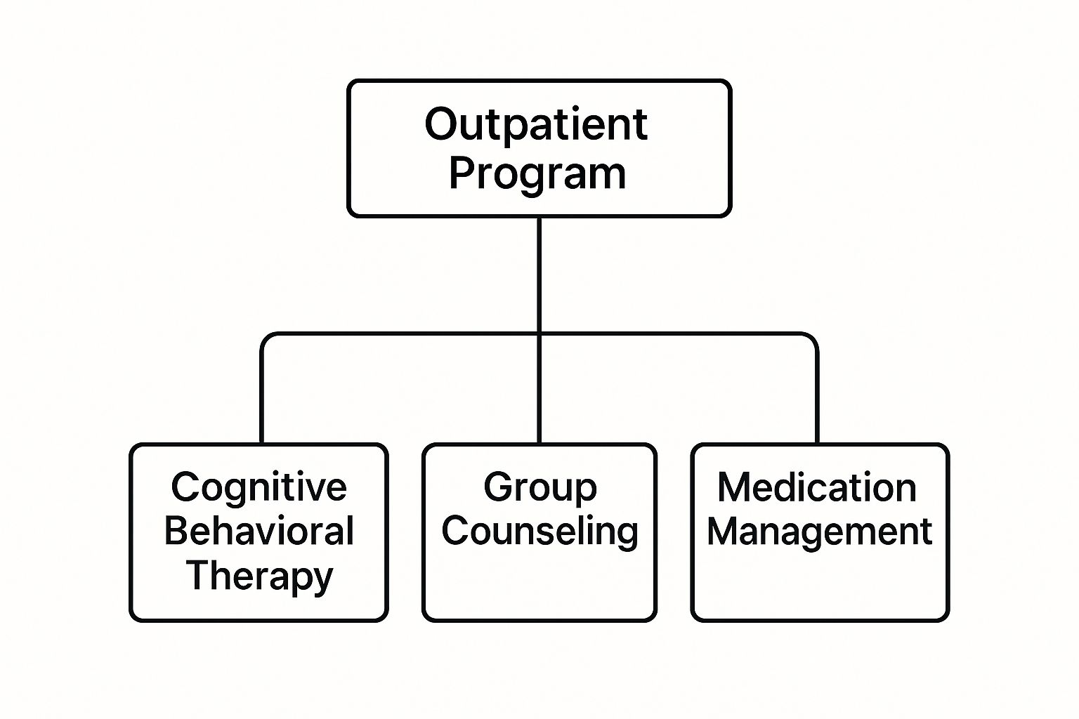 Infographic showing an 'Outpatient Program' branching into 'Cognitive Behavioral Therapy', 'Group Counseling', and 'Medication Management'.