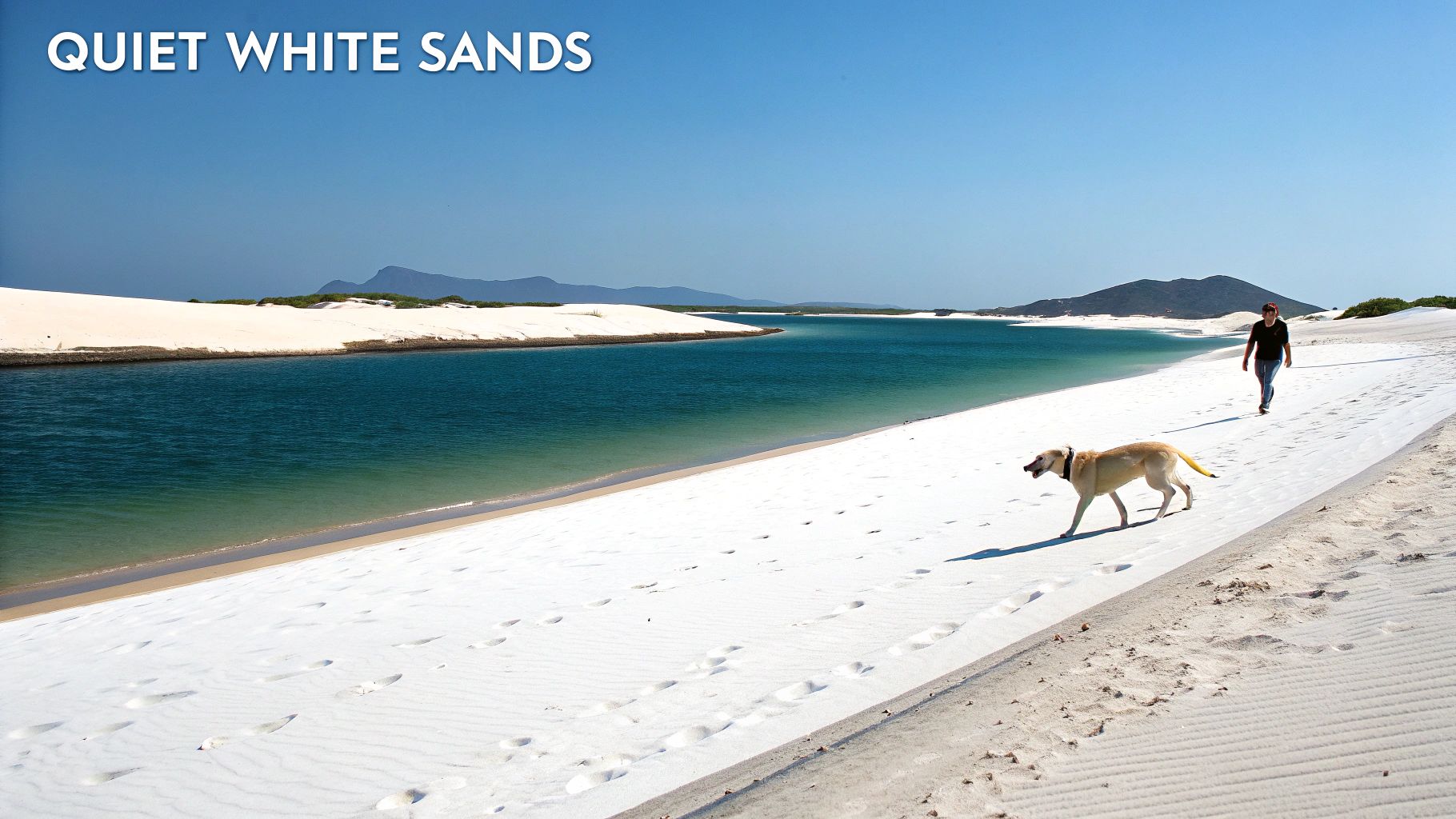 St. George Island Dog Beach - St. George Island, Florida