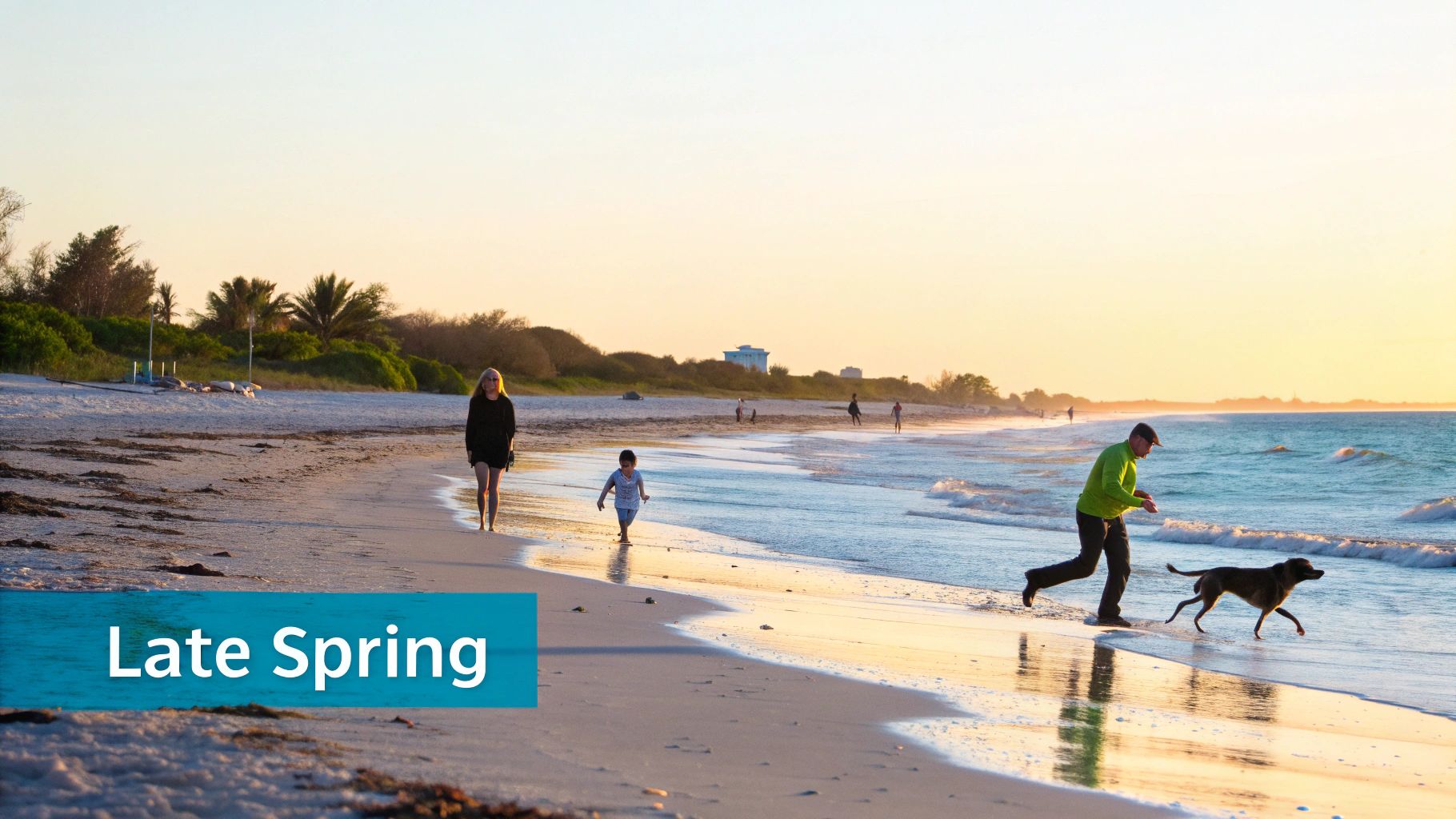 People and a dog enjoying a beautiful late spring sunset walk on a sandy beach.