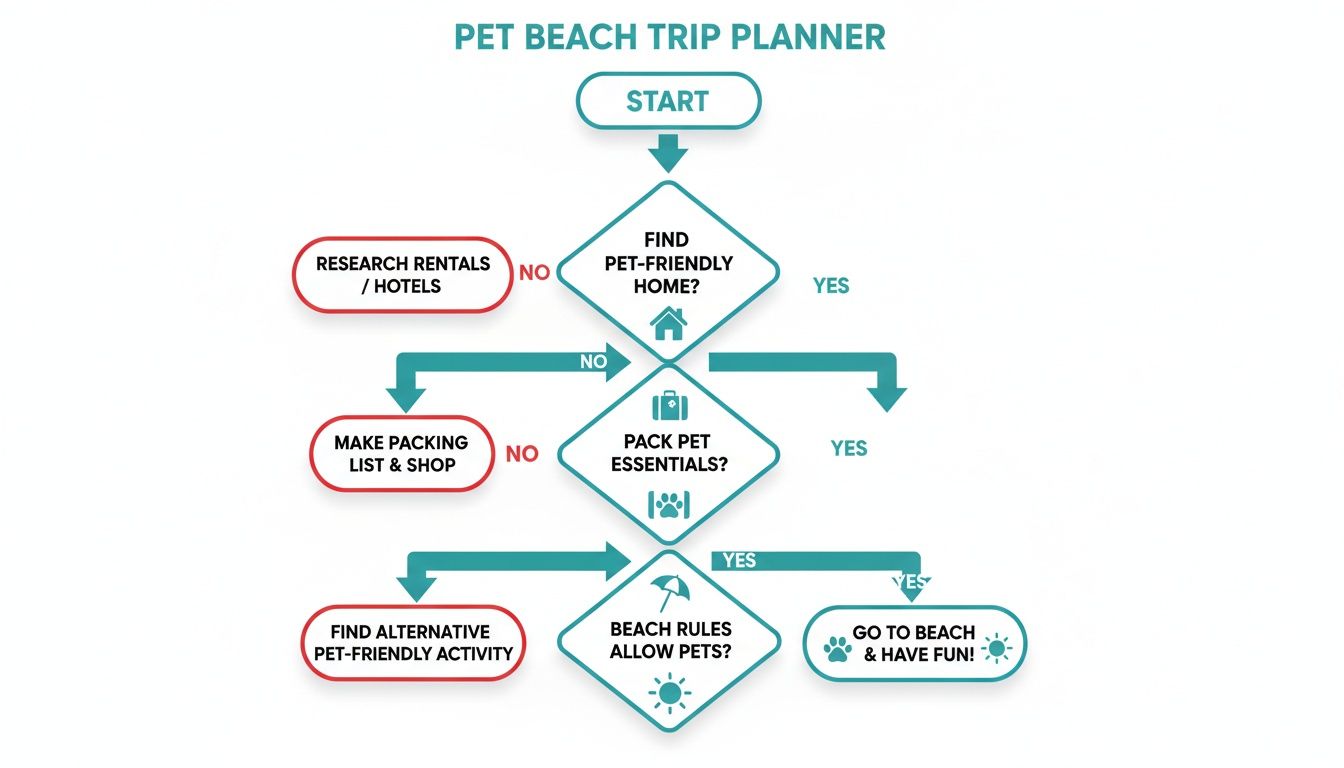 A flowchart titled 'Pet Beach Trip Planner' guides on finding pet-friendly homes, packing, and checking beach rules.