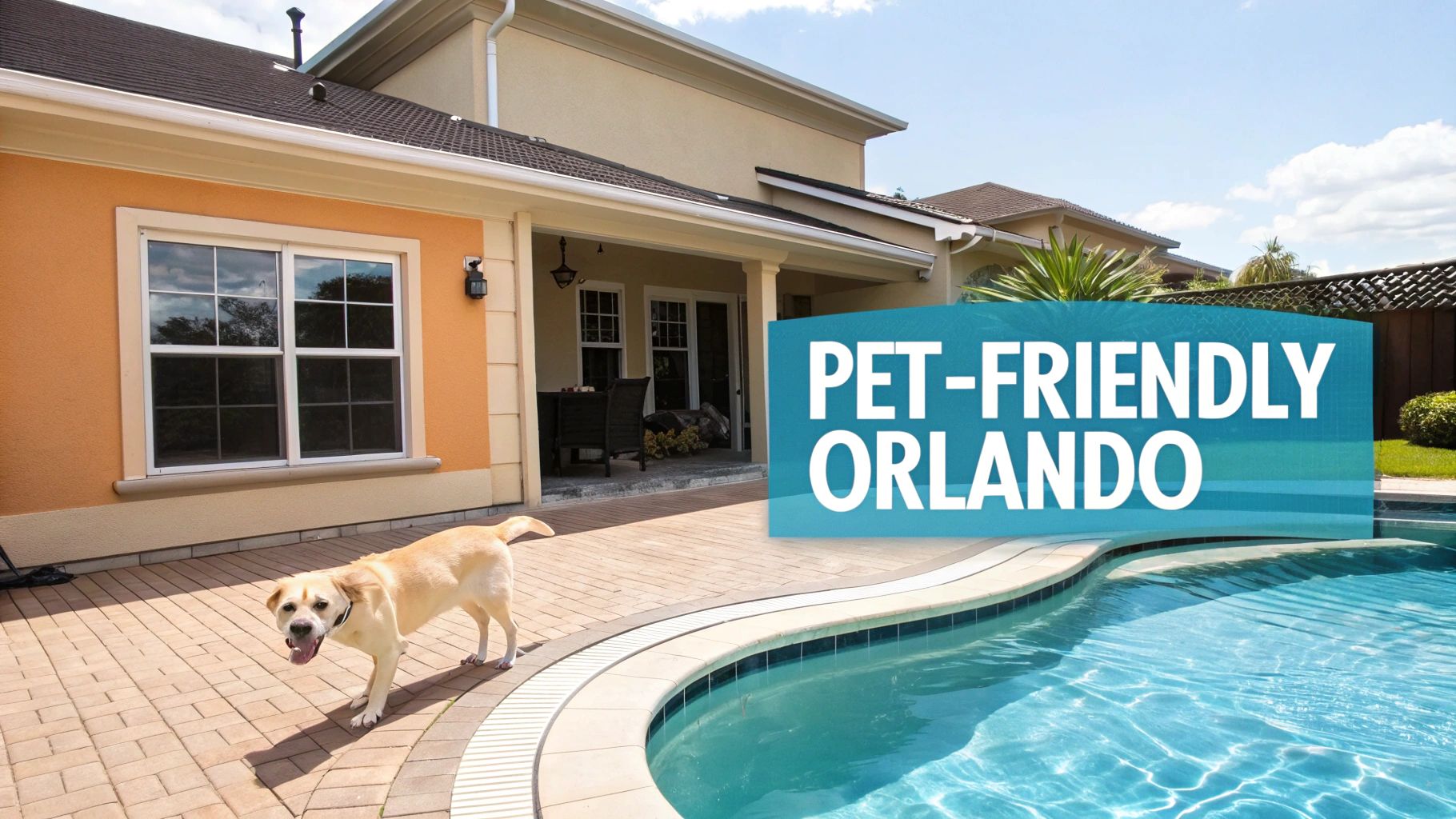 A happy yellow labrador stands by a curved pool outside a pet-friendly Orlando vacation home.