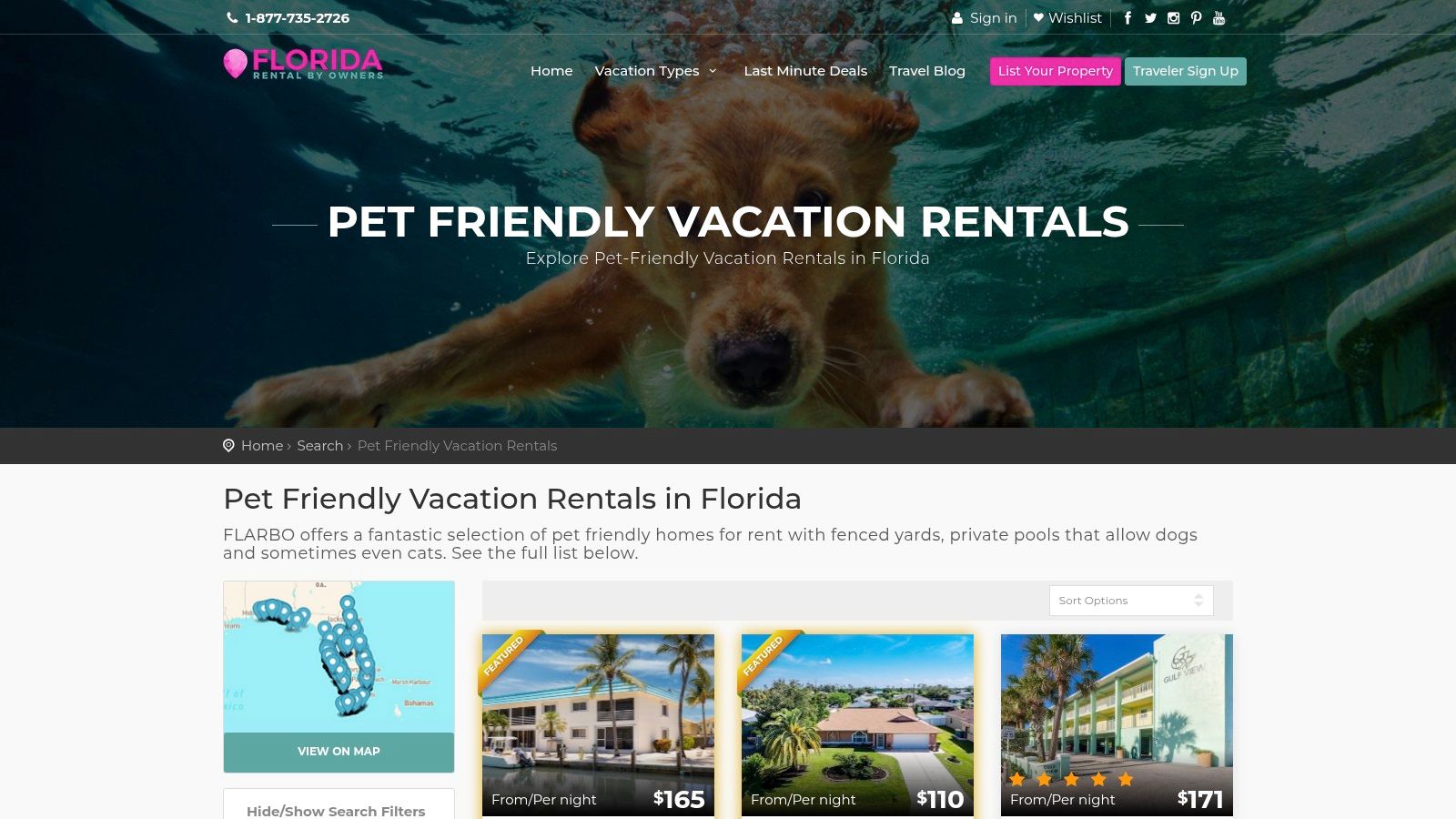 A happy dog swimming at a pet friendly beach in Gulf Coast Florida