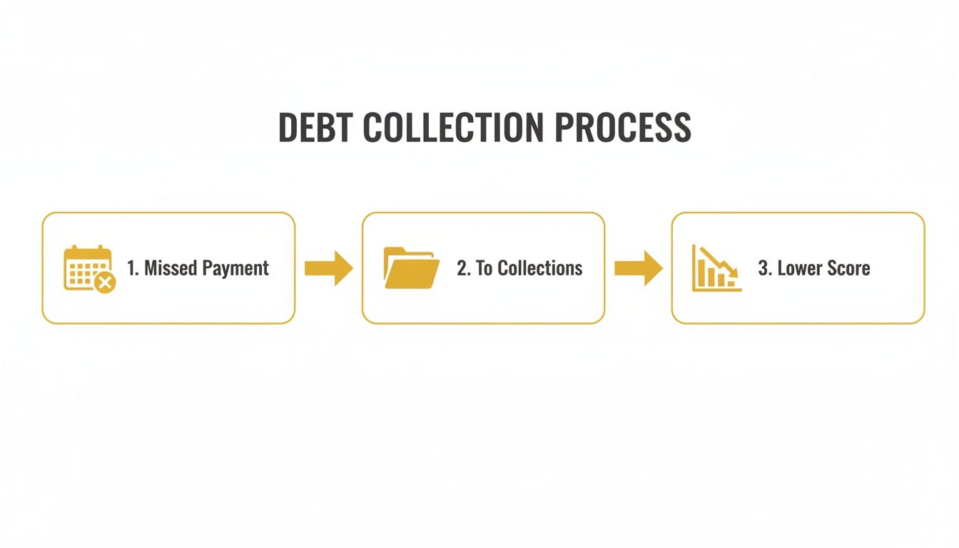 A flowchart illustrating the debt collection process: missed payment, going to collections, and resulting in a lower credit score.