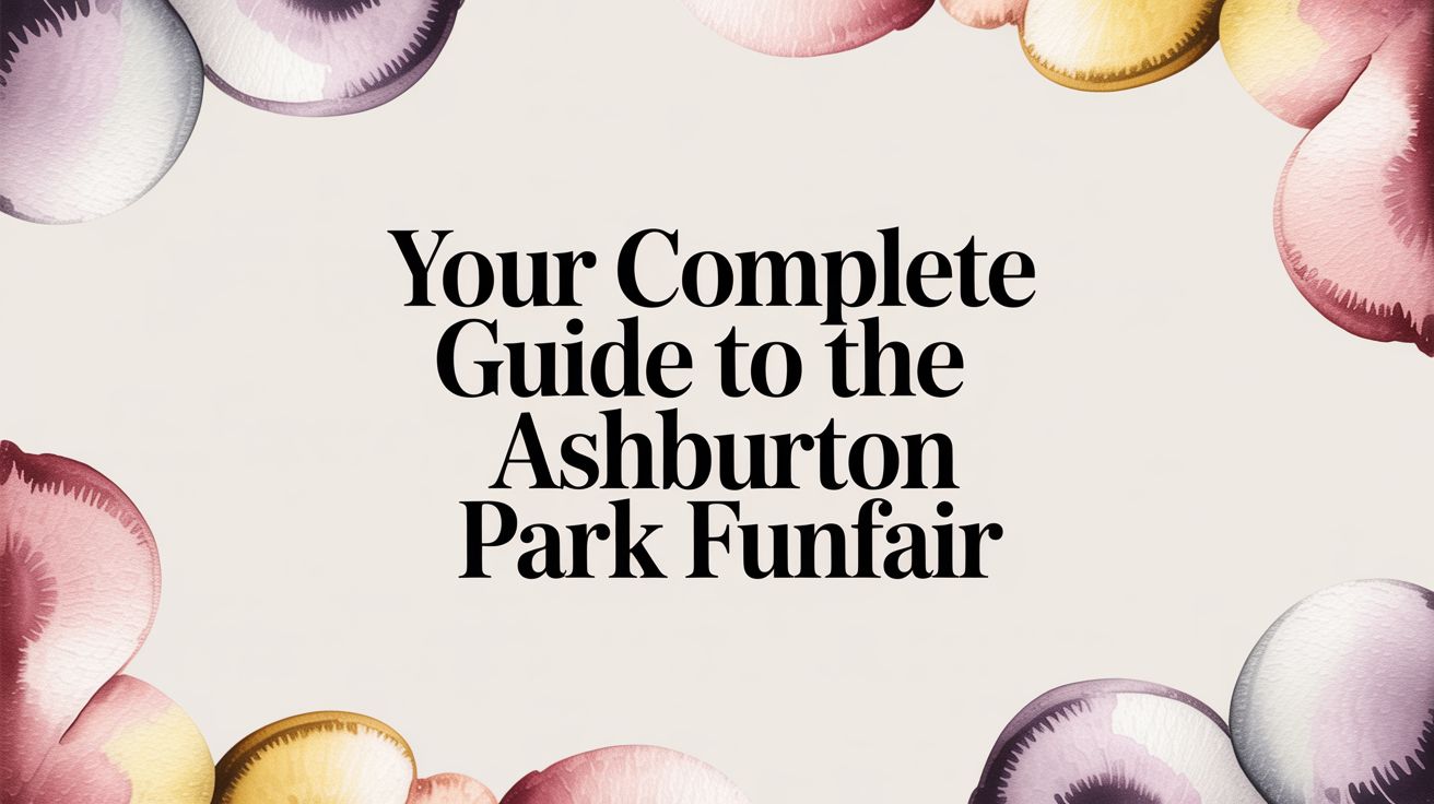 Your Complete Guide to the Ashburton Park Funfair