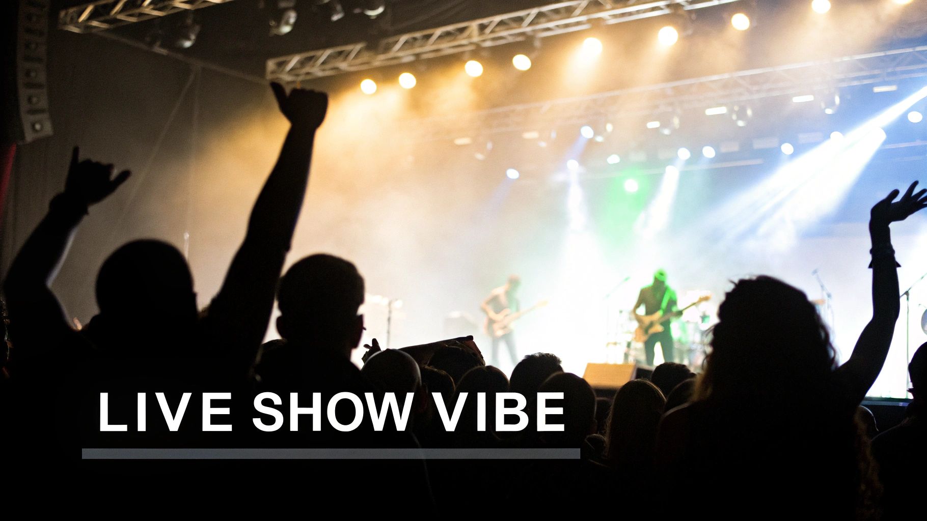 Silhouetted audience members with hands raised, enjoying an energetic live music concert.