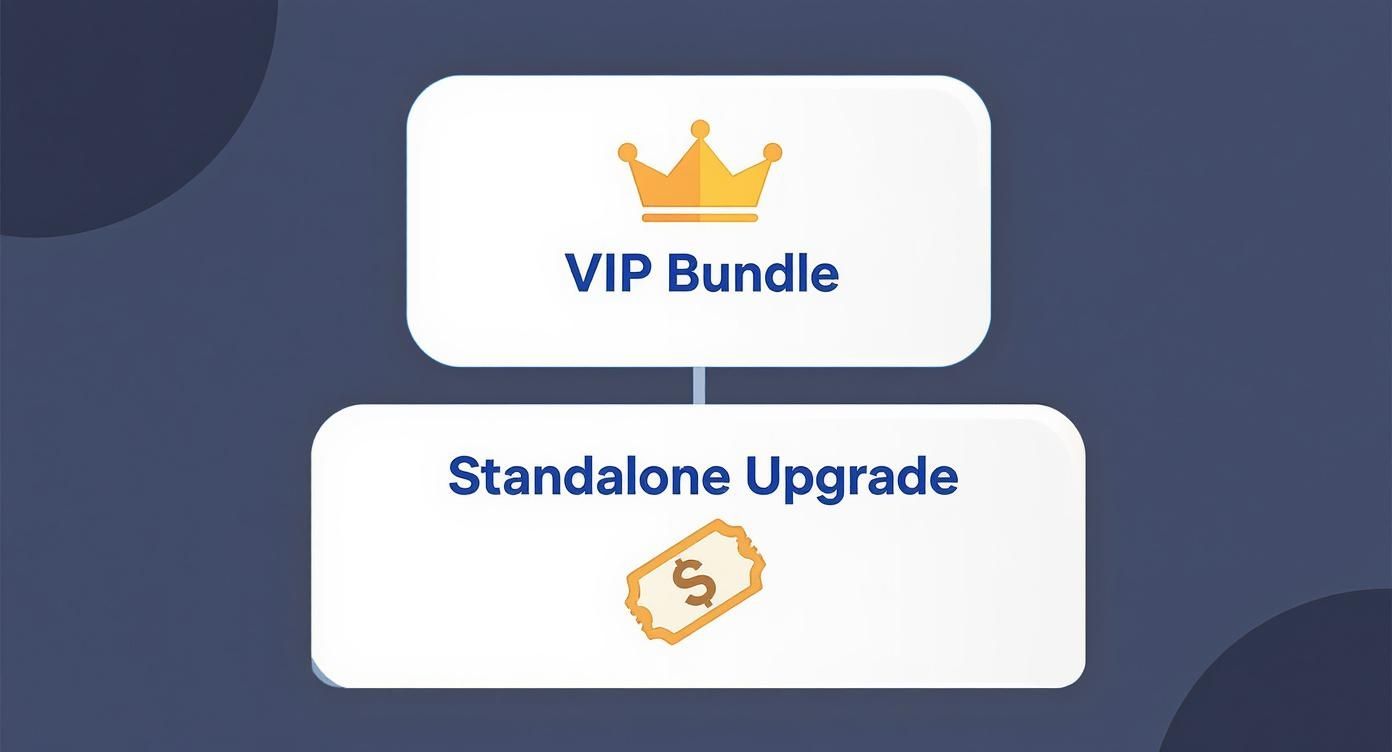 Diagram showing two product options: a VIP Bundle with a crown and a Standalone Upgrade with a dollar ticket.