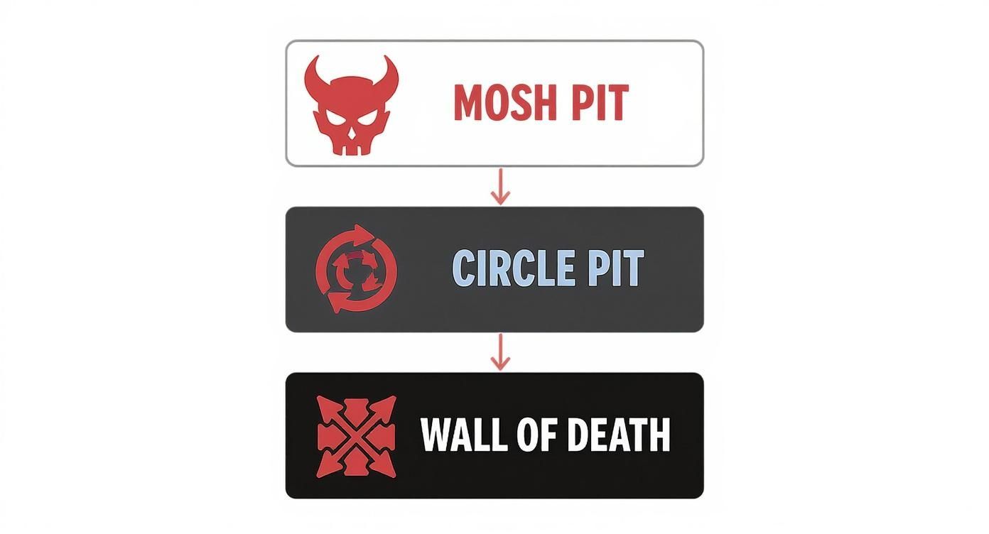 A flowchart illustrating three types of heavy metal concert pits: Mosh Pit, Circle Pit, and Wall of Death.