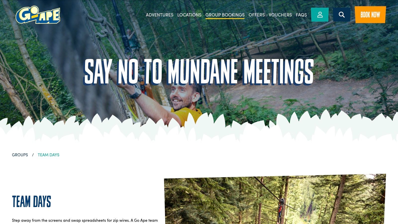 A team navigates a high ropes course at Go Ape