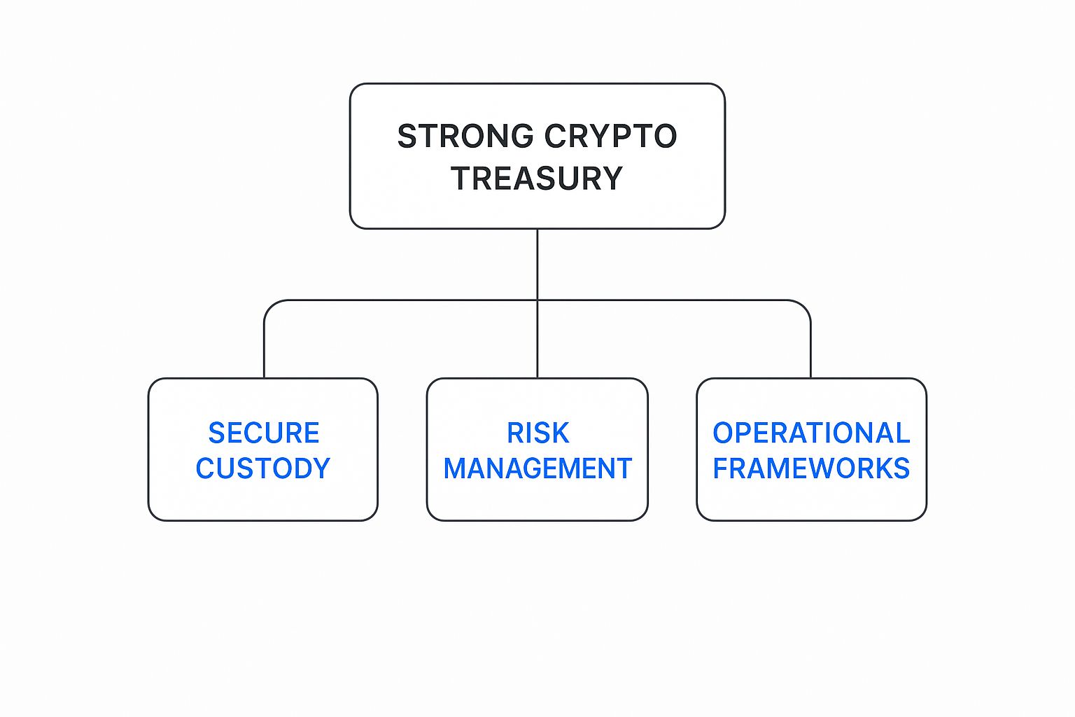 Infographic about crypto treasury management