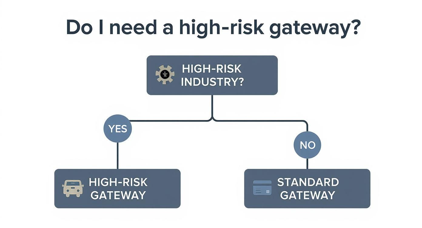 Infographic about high risk payment gateway