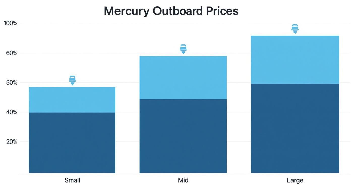 Infographic about mercury outboard prices