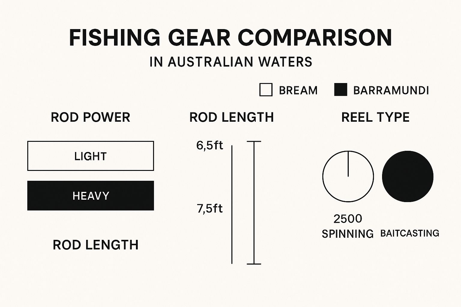 Infographic about best fishing gear