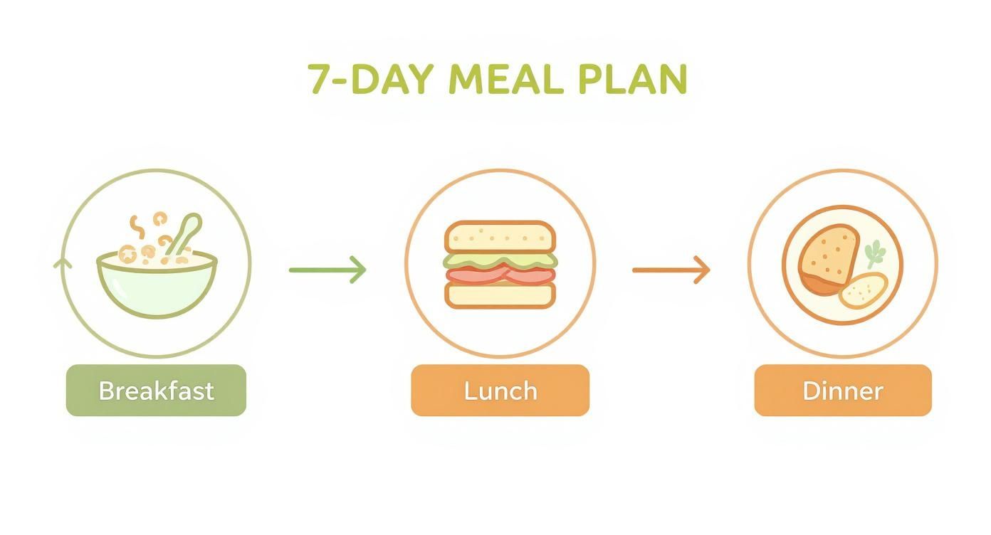 Infographic about vegetarian weekly meal plan