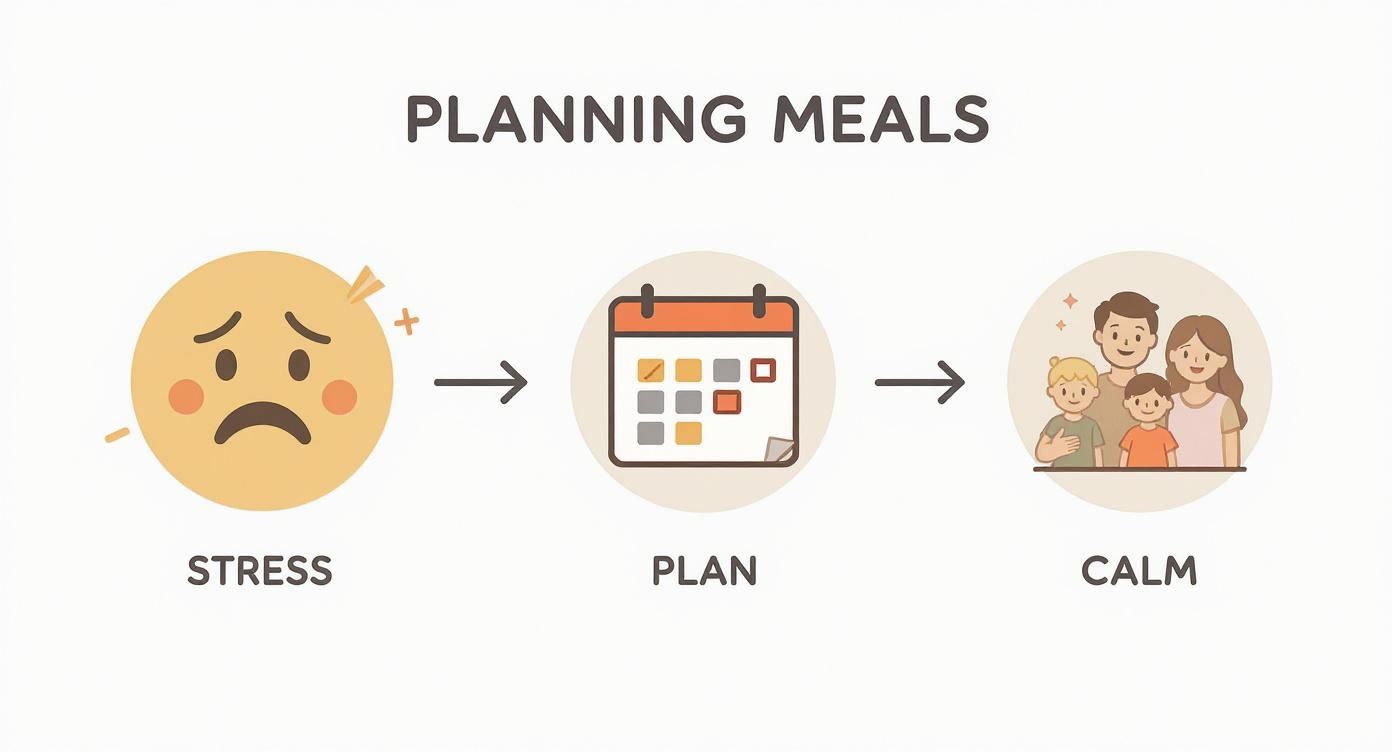 Infographic about meal planning for busy families