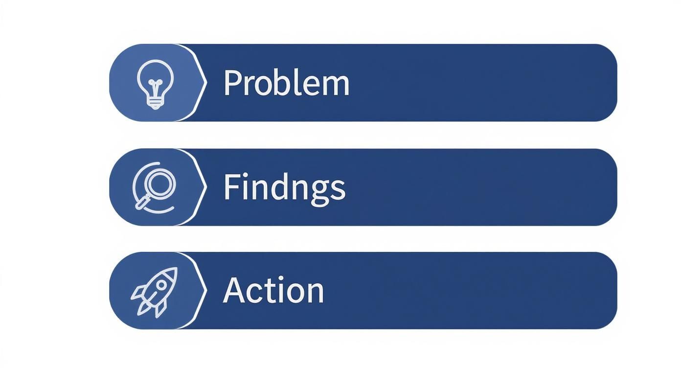 Three blue horizontal banners with icons and text: Problem (lightbulb), Findngs (magnifying glass), Action (rocket).