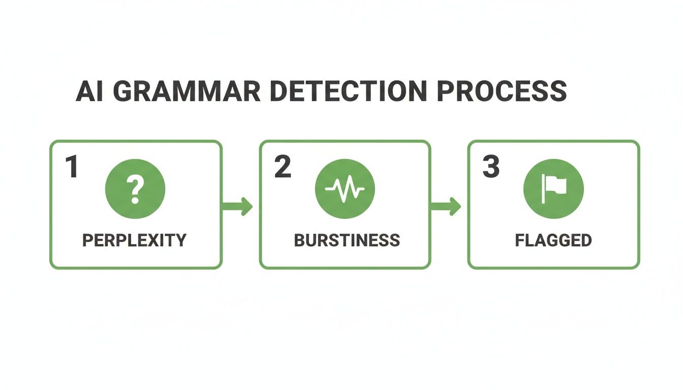 Flowchart illustrating the AI grammar detection process with steps: Perplexity, Burstiness, and Flagged output.