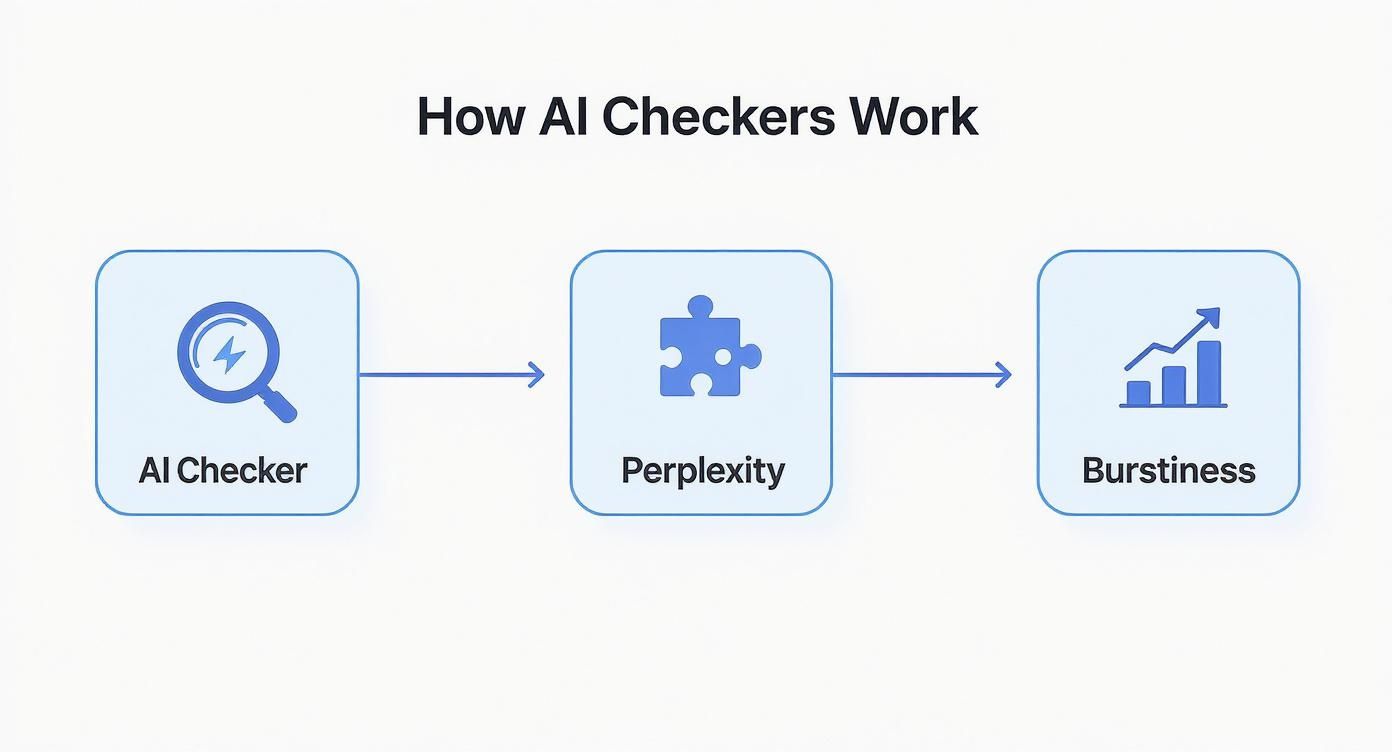 Infographic about how does ai checker work