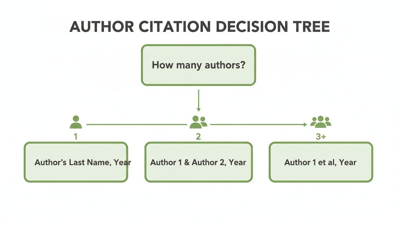 A decision tree illustrating author citation rules based on the number of authors: one, two, or three or more.