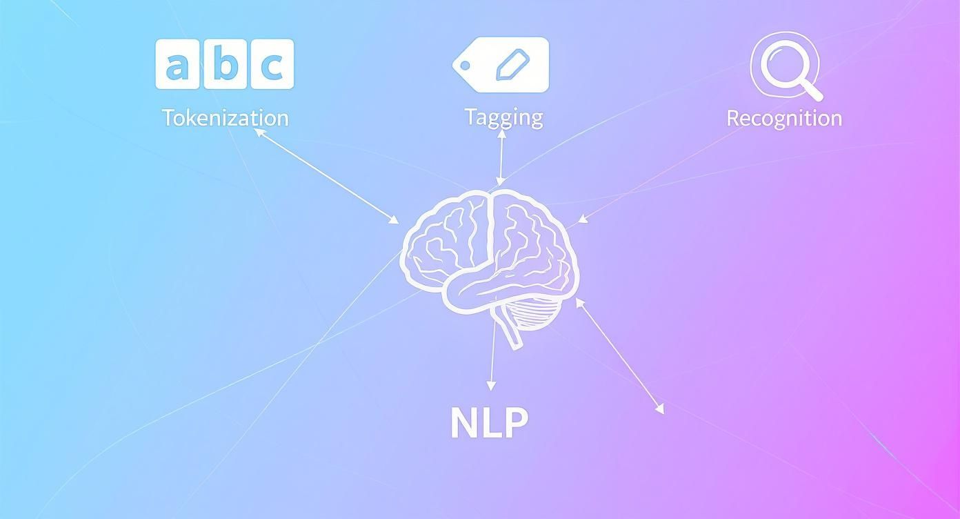 Infographic about what is text analysis