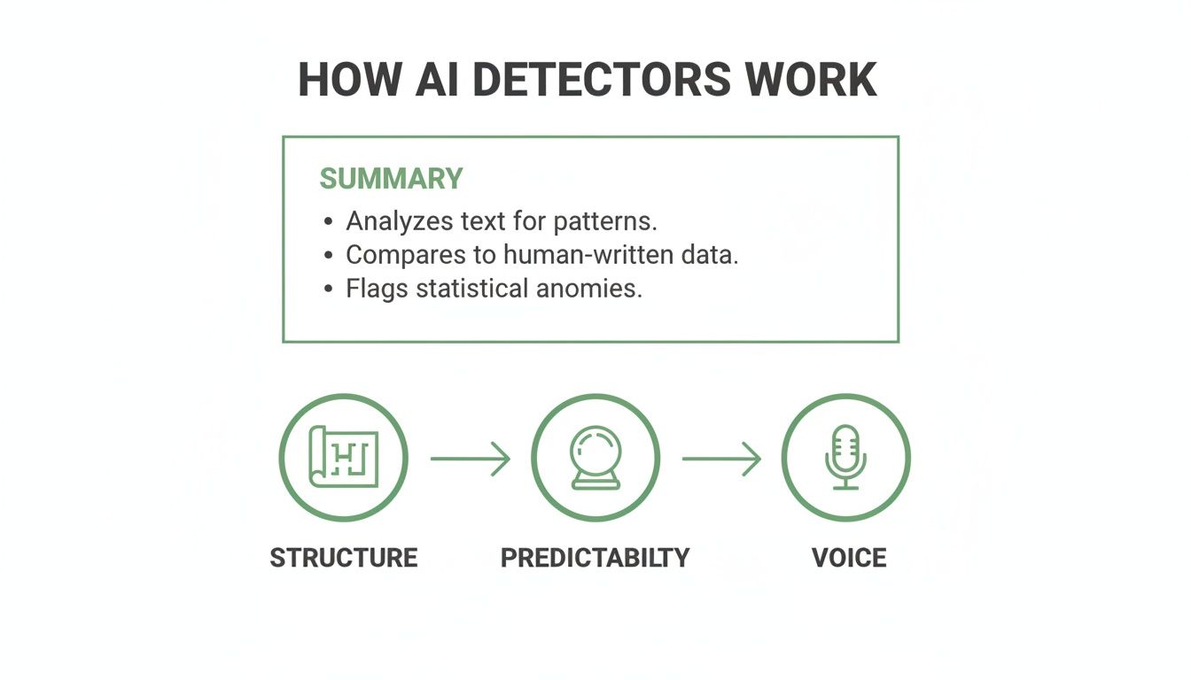 Diagram explaining how AI content detectors work, detailing analysis, comparison, and anomaly flagging via structure, predictability, and voice.
