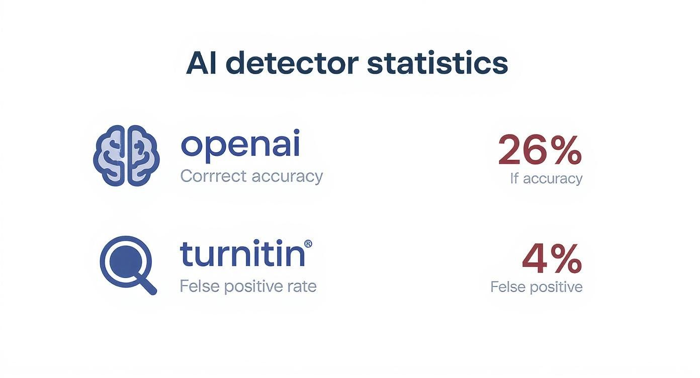 Infographic about are ai detectors accurate