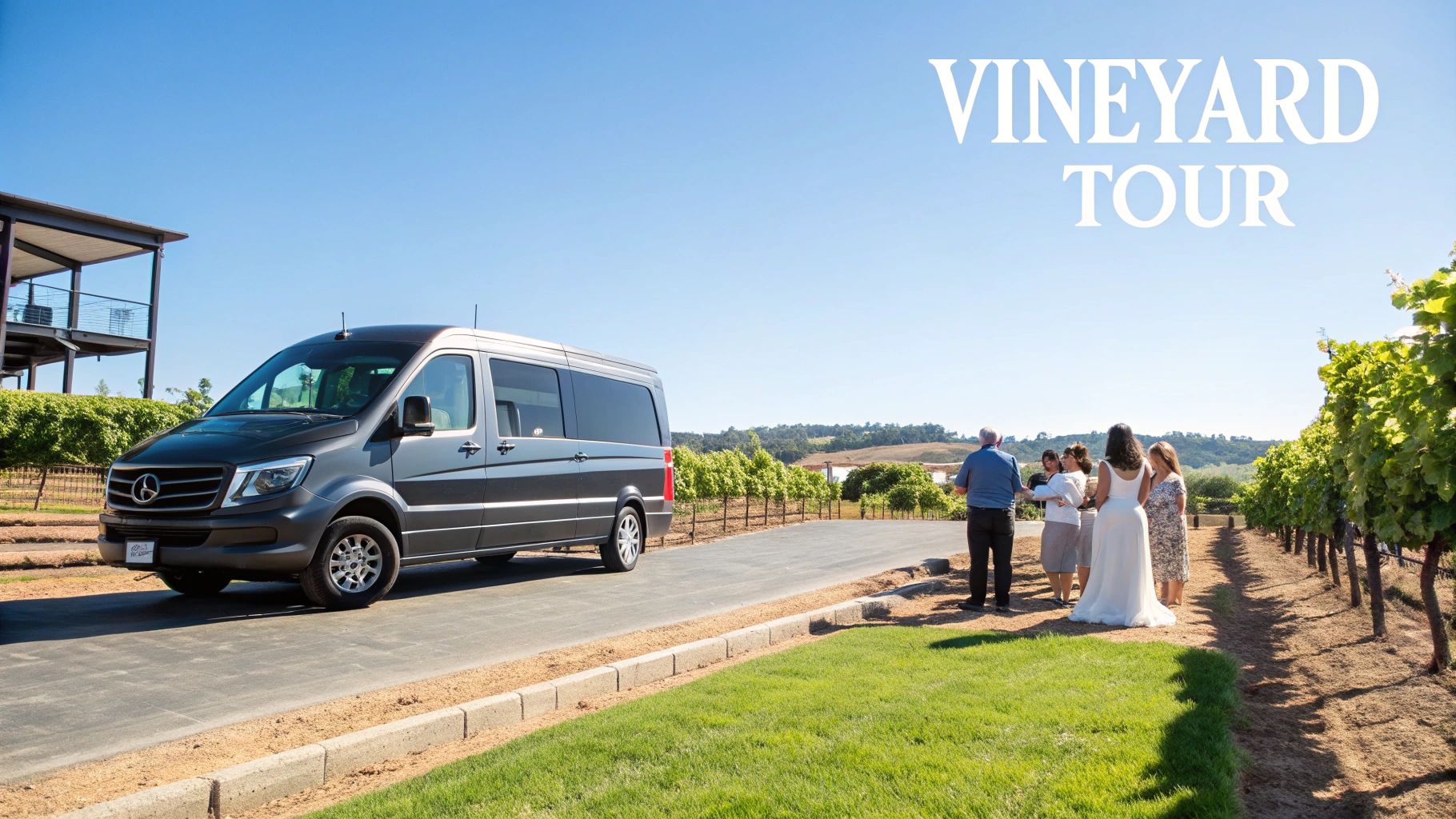 A grey Mercedes-Benz van parked at a vineyard with a group of people and a bride.