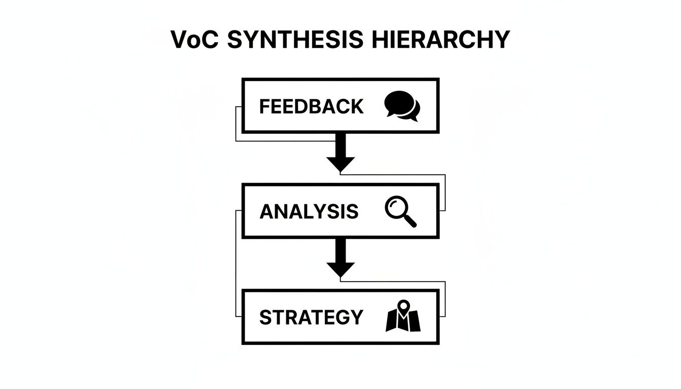 Flowchart illustrating the VoC synthesis hierarchy: Feedback, Analysis, and Strategy steps.