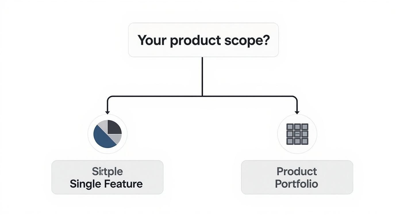 Flowchart illustrating product scope: 'Simple Single Feature' versus 'Product Portfolio'.