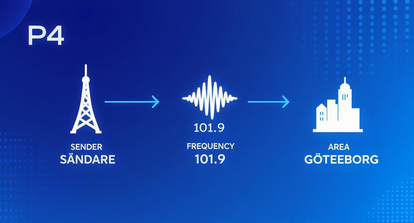 P4 radiosignal sänds från en sändare på frekvens 101.9 till Göteborgsområdet.