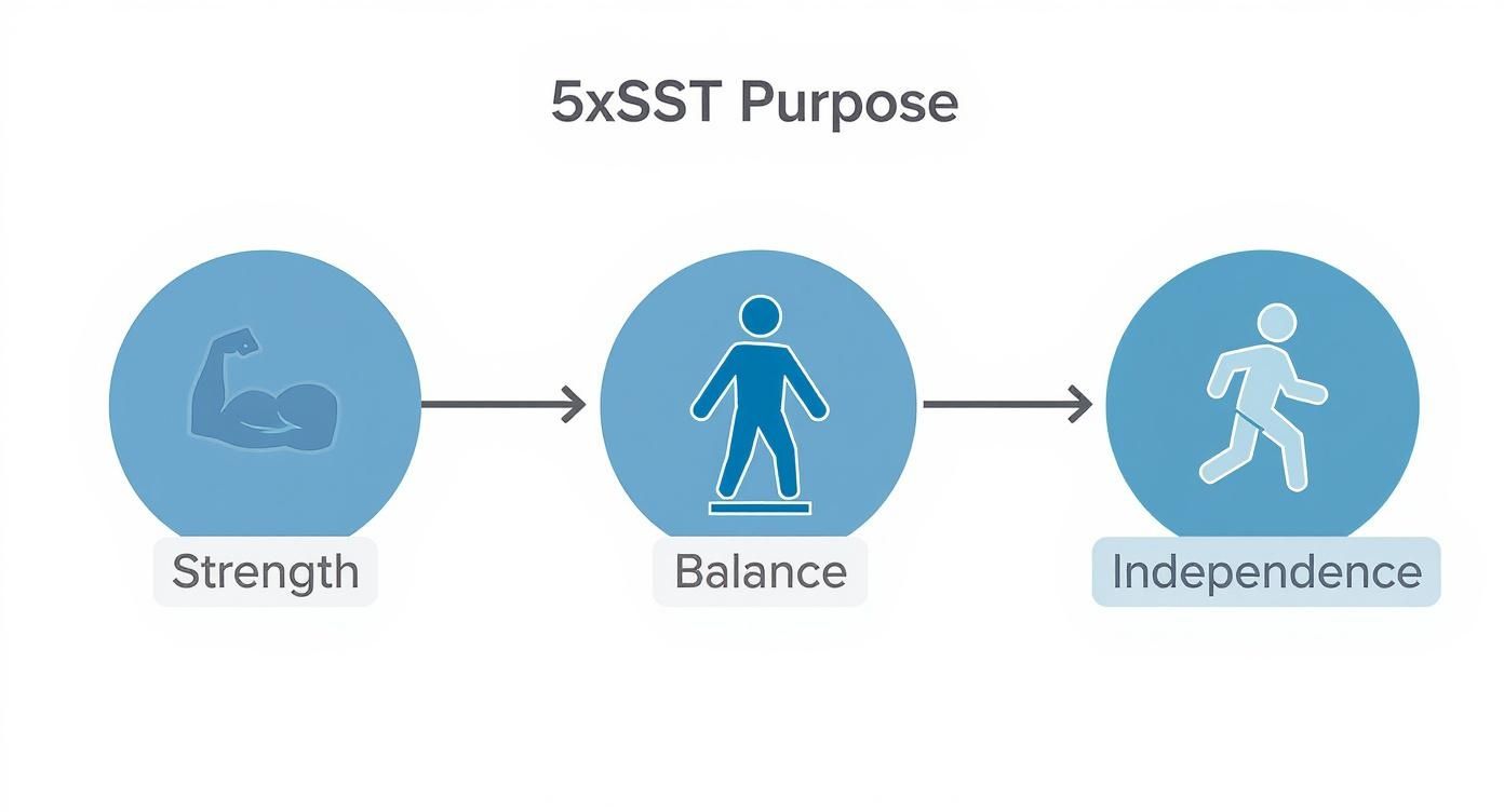 Infographic about 5 times sit to stand