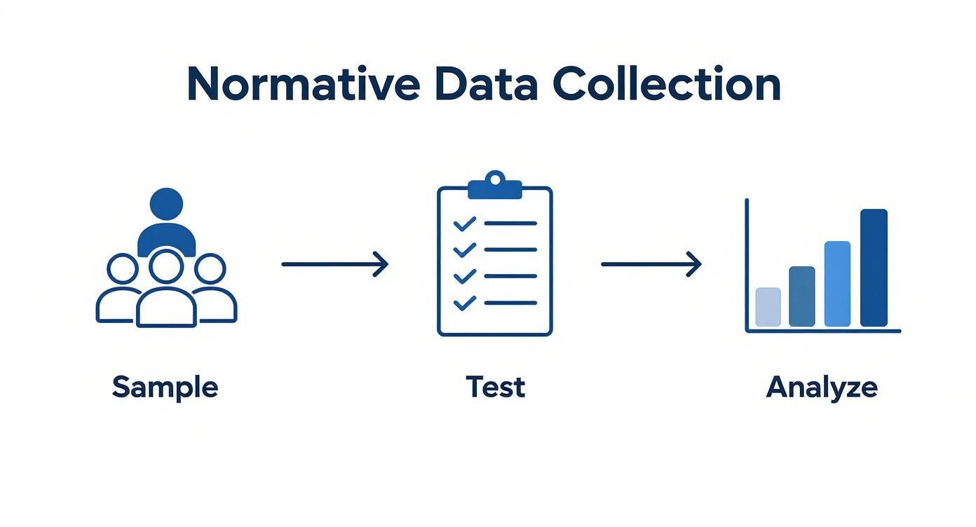 Infographic about what is normative data